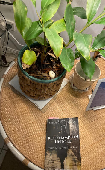 Rockhampton Untold on coffee table A coffee table book, Rockhampton Untold by Mary-Anne Forrest